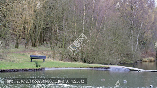 公園