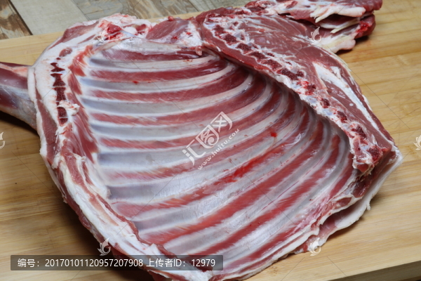 羊肉寧夏鹽池灘羊肉大草原綿羊羯