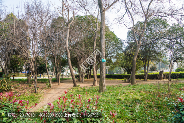 公園小景