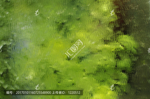 鏡面反射植物