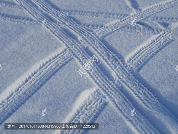 雪地上的汽車軌道