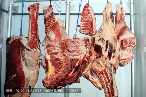 牛；在冷藏室小牛肉和豬肉面