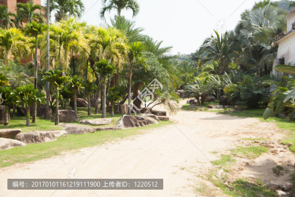 公園小徑。