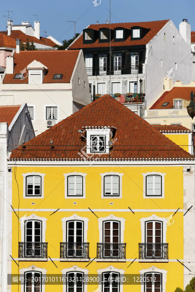 彩色Lisbon