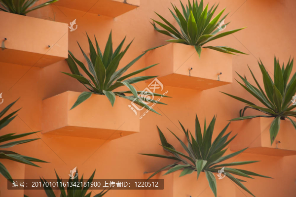 花瓶