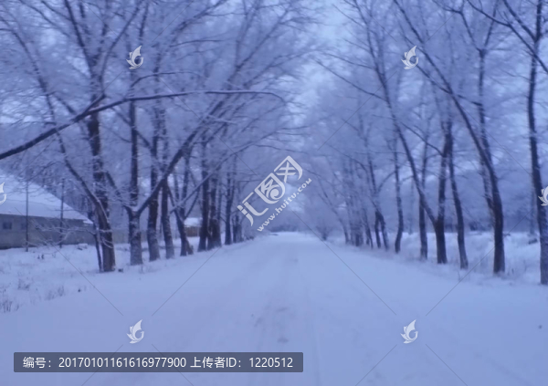 凍結(jié)的道路之間的樹胡同導(dǎo)致無處