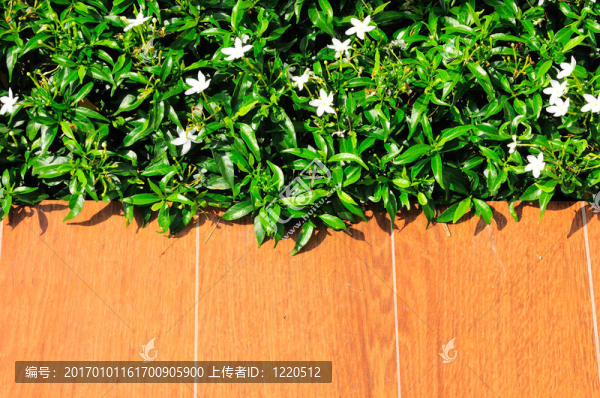 木地板上的草