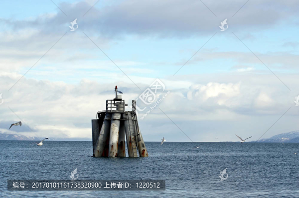 老墩柱與海鳥