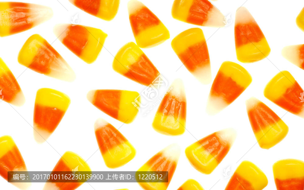 白玉米