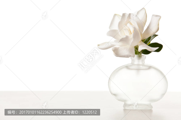 大理石桌上的白色梔子花