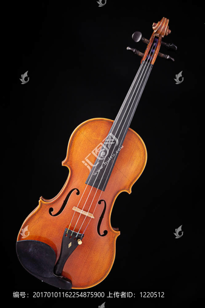 完整的Violin,Viola孤立在黑