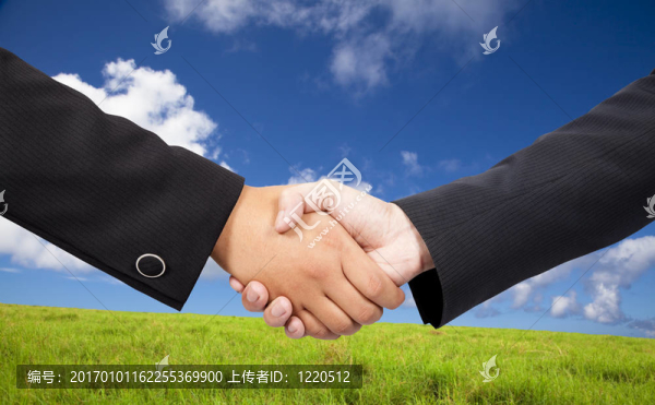 一個商業(yè)人士握手反對藍(lán)天和綠色背景