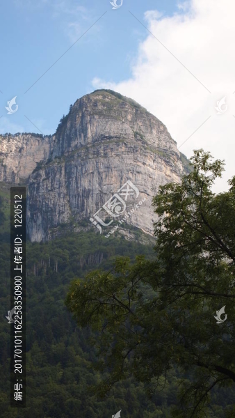 前景廣闊的有著白色懸崖和森林的垂直山脈；法國(guó)；阿爾卑斯山；全景
