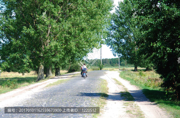 鄉(xiāng)村路