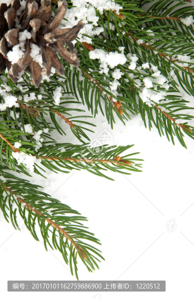 帶雪和圓錐體的圣誕框架