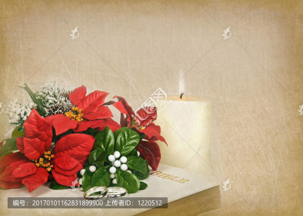 圣誕愛(ài)