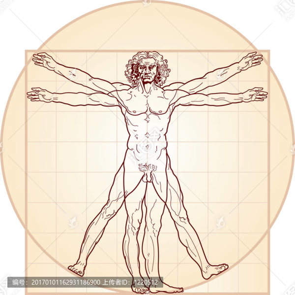 維特魯威人（Homo,vitruviano）