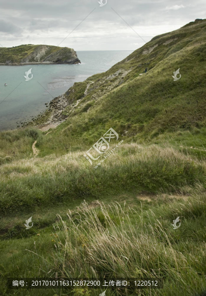 高高的懸崖頂端，在沿Lulworth,Cove草前景細(xì)節(jié)英國(guó)侏羅紀(jì)海岸