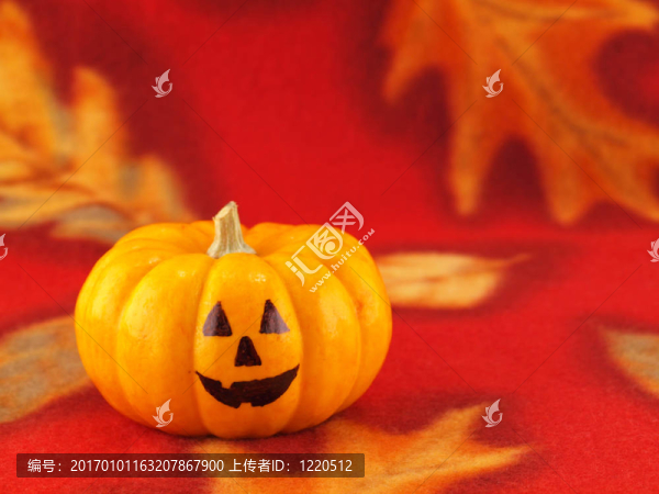 在秋天的紅色布料背景下有著滑稽面孔的迷你南瓜