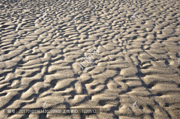 沙的紋理細節(jié)