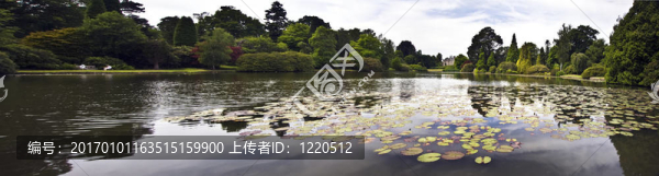 寬湖全景
