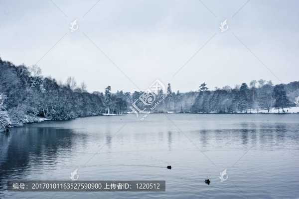 冬天湖景觀
