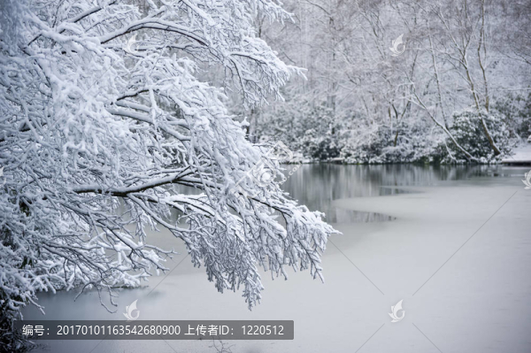 凍結(jié)湖支