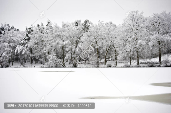 結(jié)冰的湖