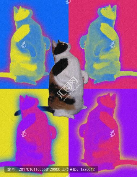 popart貓