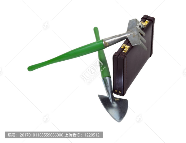 培養(yǎng)商業(yè)