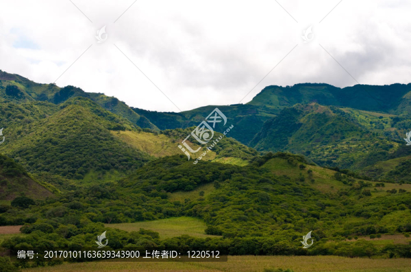 在尼加拉瓜的山上-匯圖網(wǎng) www.fosd68.com 在尼加拉瓜的山上