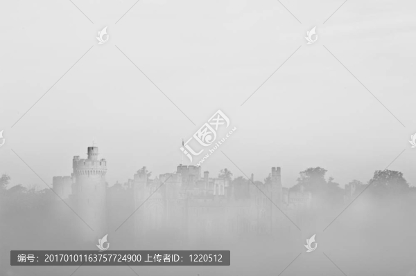森林和田野場(chǎng)景與霧和霧與古城堡可見(jiàn)的背景