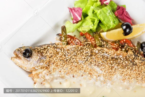 虹鱒魚
