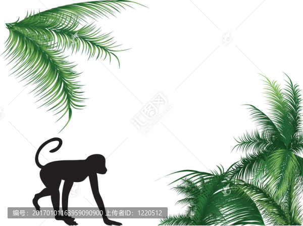 猴子和棕櫚