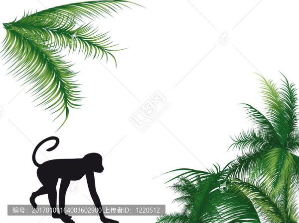 猴子和棕櫚