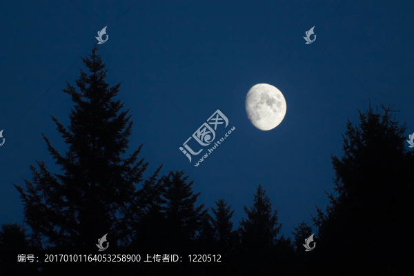 月落在綠色的云杉-匯圖網(wǎng) www.fosd68.com 月落在綠色的云杉