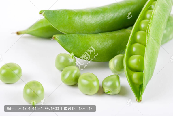 成熟的豌豆