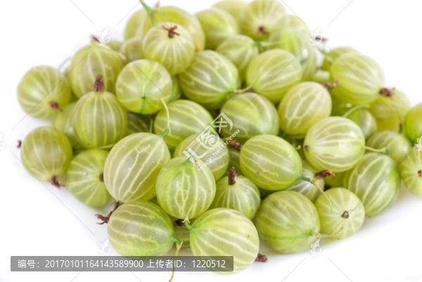 醋栗