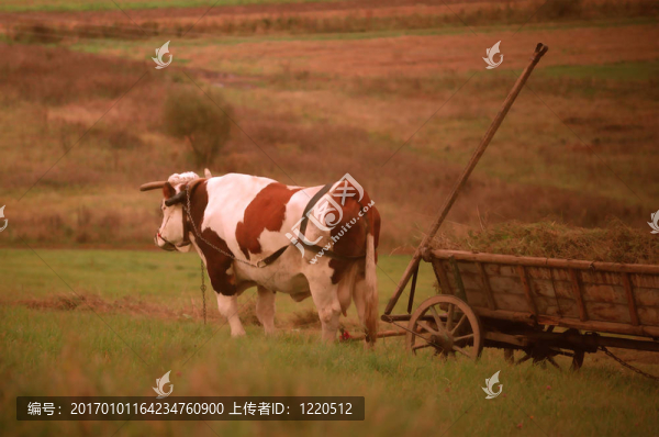 農(nóng)村的概念