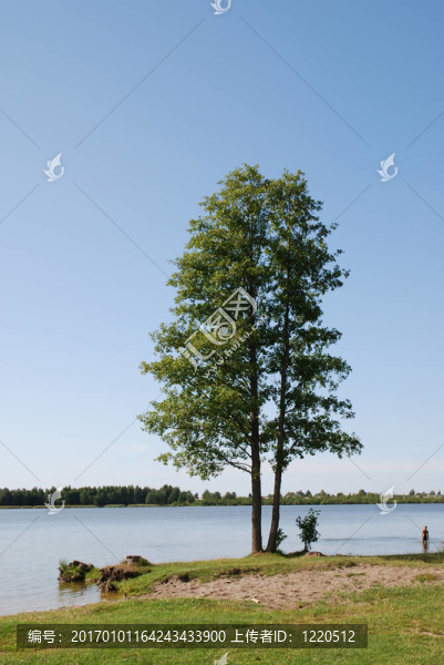 湖