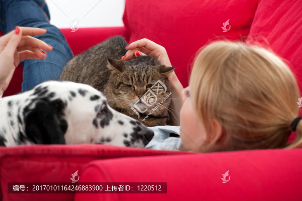 躺在沙發(fā)上的年輕女子，紅貓和狗狗