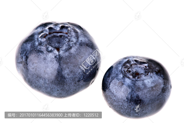 藍莓的宏