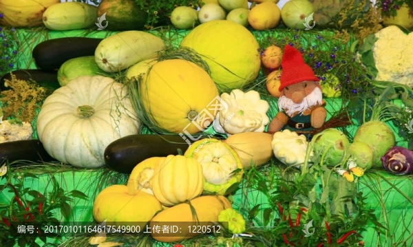 蔬菜