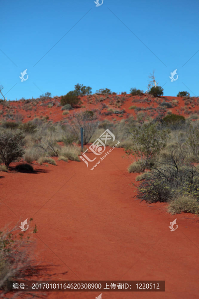 甜點(diǎn)-匯圖網(wǎng) www.fosd68.com 甜點(diǎn)