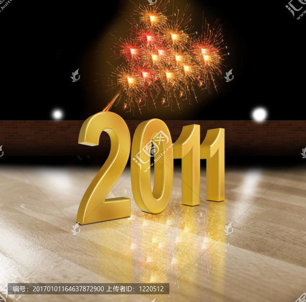 新的2011年