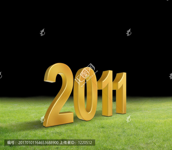 新的一年2011