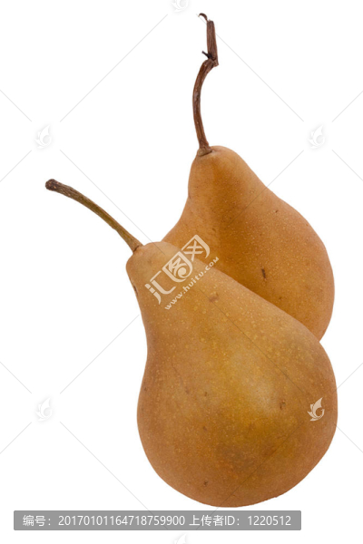 梨-匯圖網(wǎng) www.fosd68.com 梨