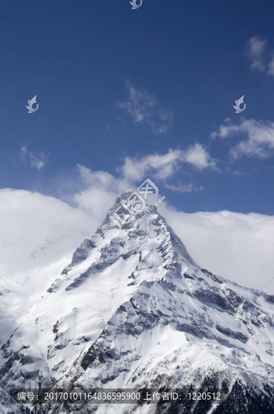 belalakaya-匯圖網(wǎng) www.fosd68.com belalakaya