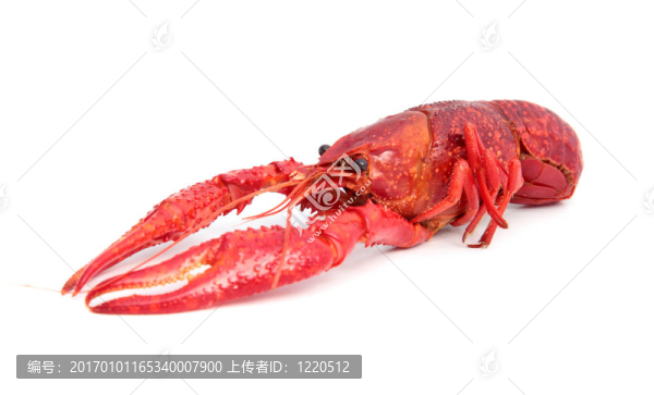 大蝦