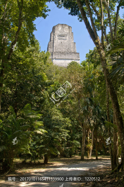 在蒂卡爾國(guó)家公園的叢林寺廟佩滕III